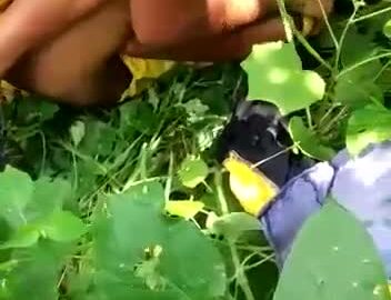 Muslim Girl Gang Rape Video With Hindi Audio